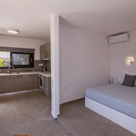 Apartament Unforgettable Tinos Complex *