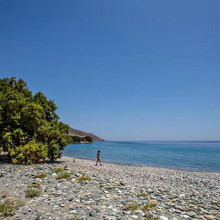 Unforgettable Tinos Complex